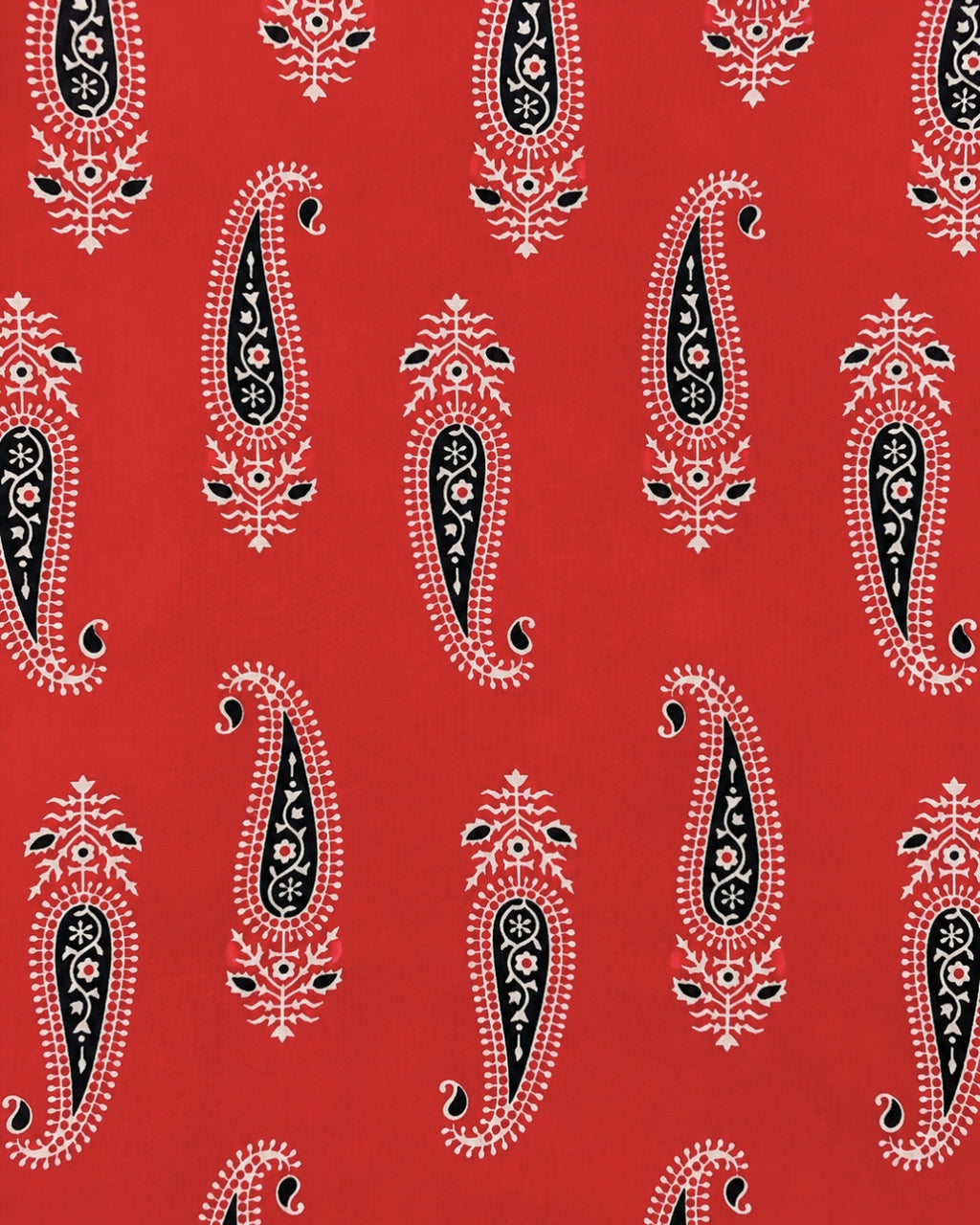 AZRAK Red Blossom Short Kurti